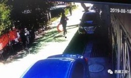 西藏警察爆料视频最新,揭秘边境安全守护者的真实故事